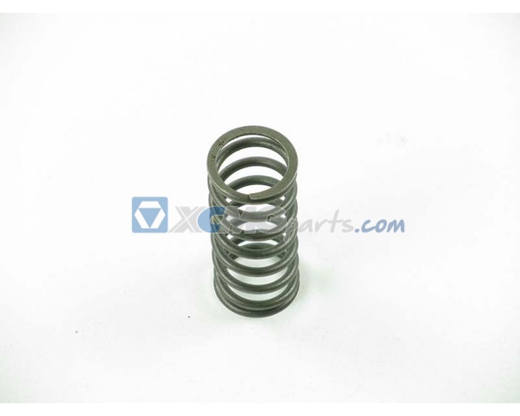 Inner spring for Weichai Steyr reference 61560050020