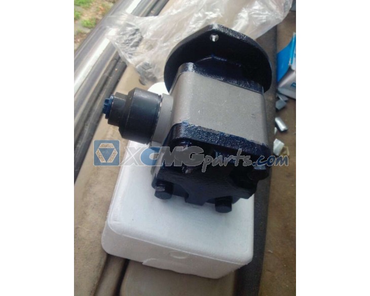 Steering oil pump for XCMG reference 3001411
