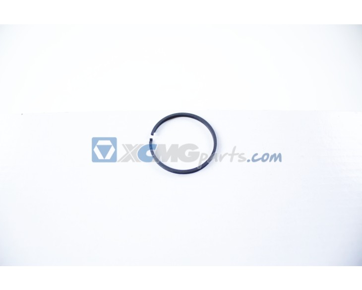 R-ring for ZF 6WG200 reference 0634402025