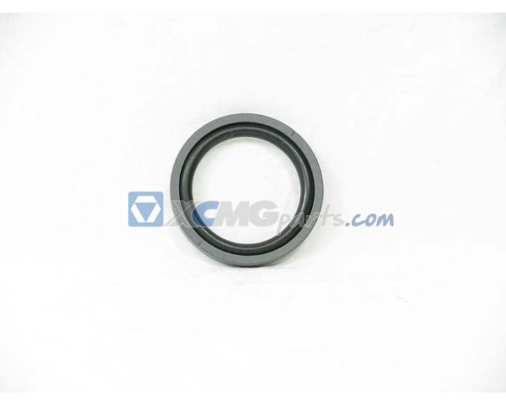 Dichtsatz (seal kit ) for Terex Demag reference 18023040