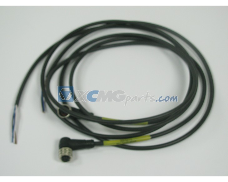 Plug for switch, swivel pin