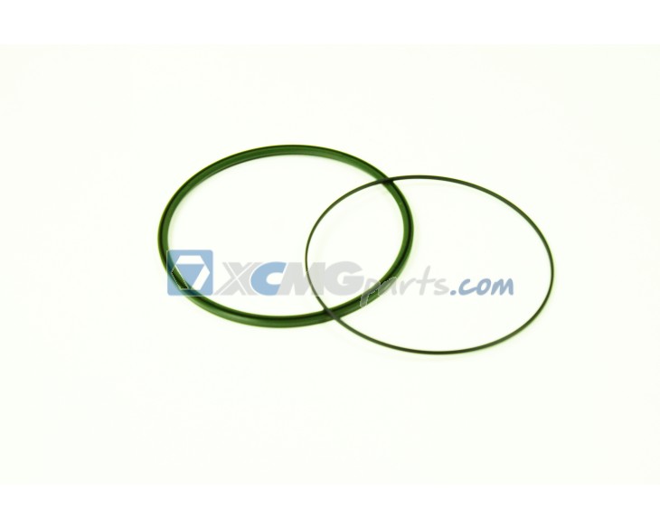 O-ring