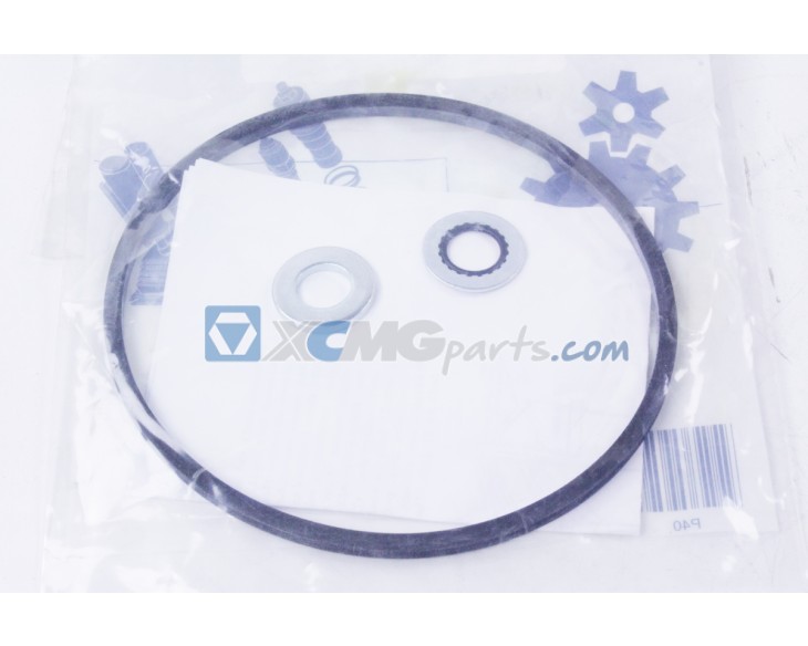 Kit seal + washer for Manitowoc Grove RT760 reference 9437100776
