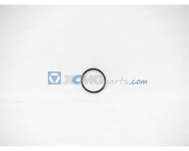 O-ring