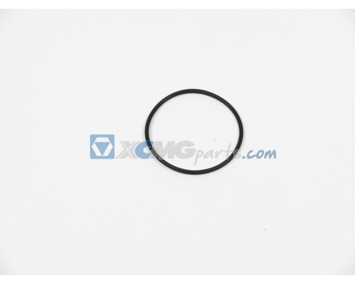O-Ring for Terex Demag reference 00672798