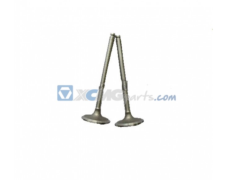 Exhaust valve for Weichai Steyr reference 61560050041